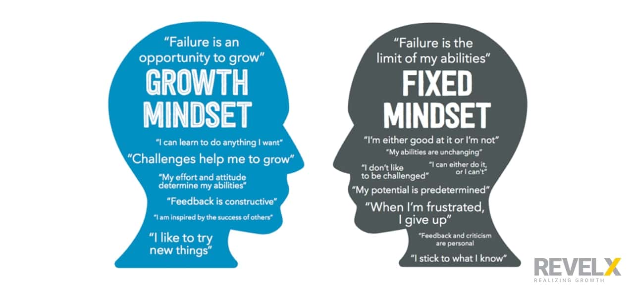 5 Growth Mindset Examples That You Can Use In Your Job Tomorrow 